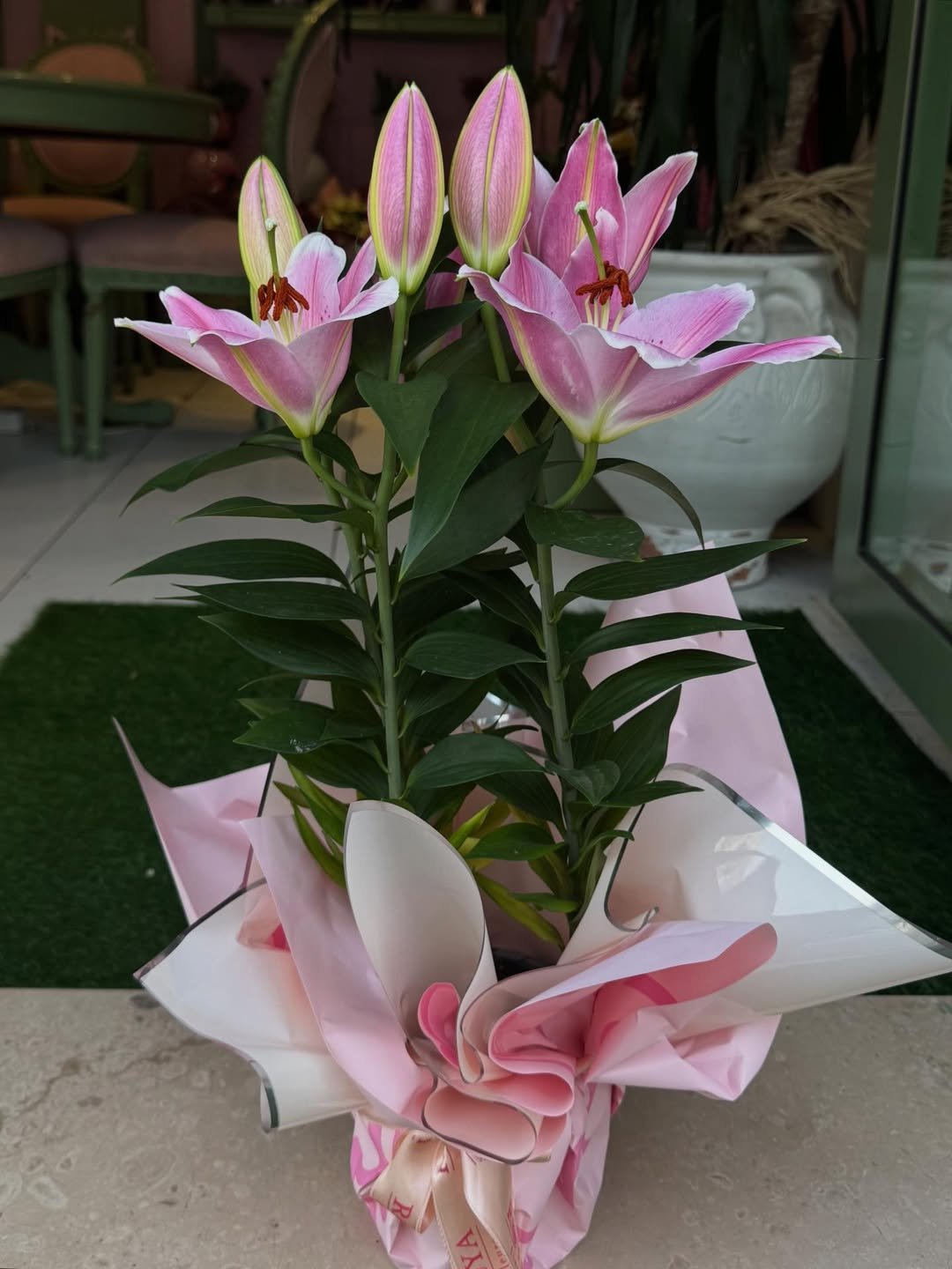 Lilyum saksı görünüm 3